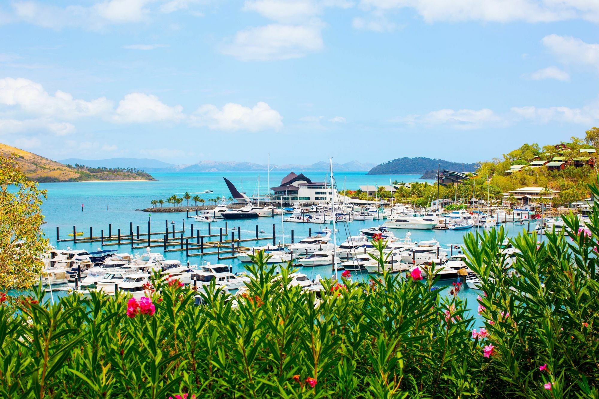 Palm Bungalows Isla Hamilton Exterior foto
