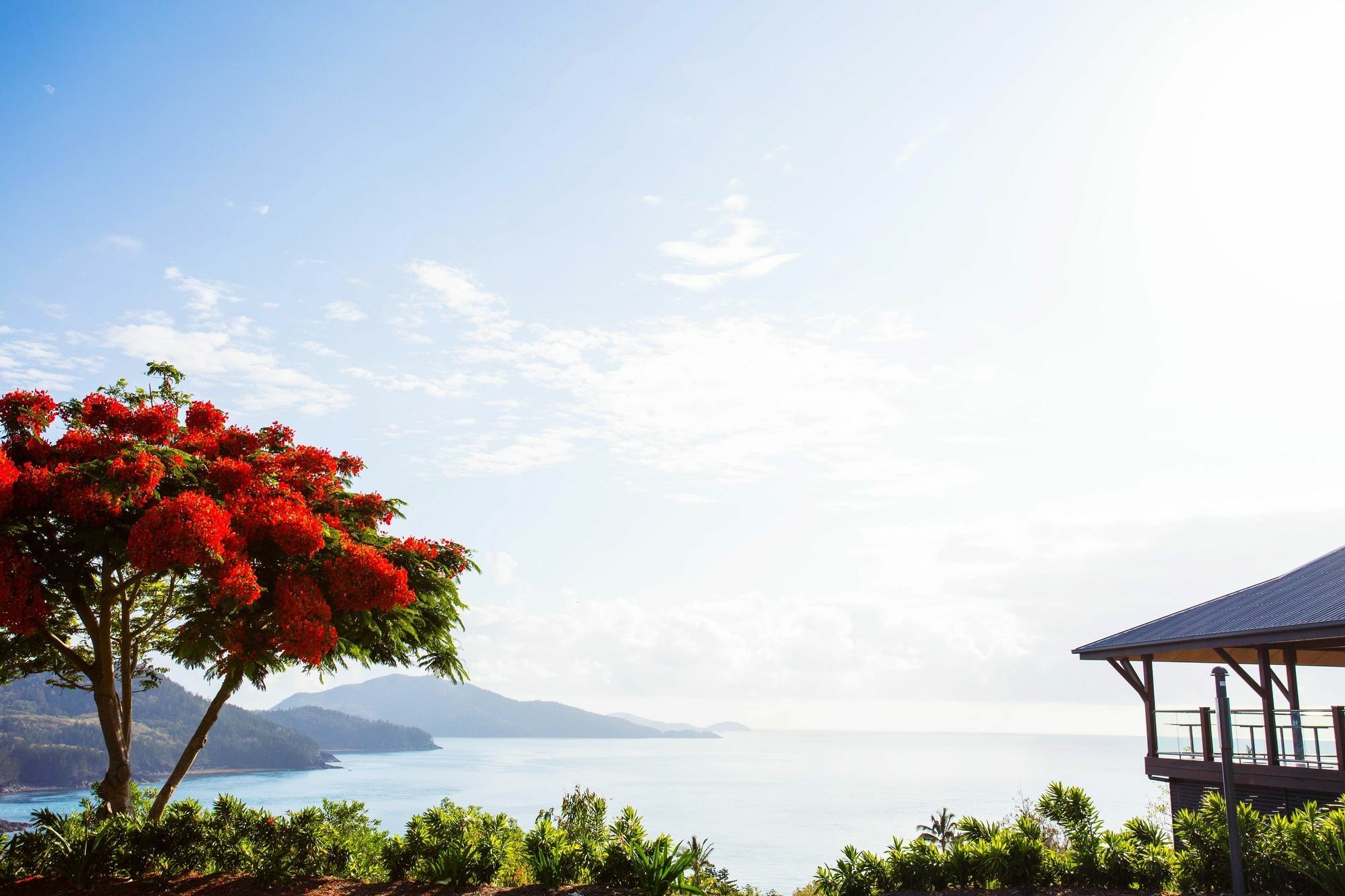 Palm Bungalows Isla Hamilton Exterior foto