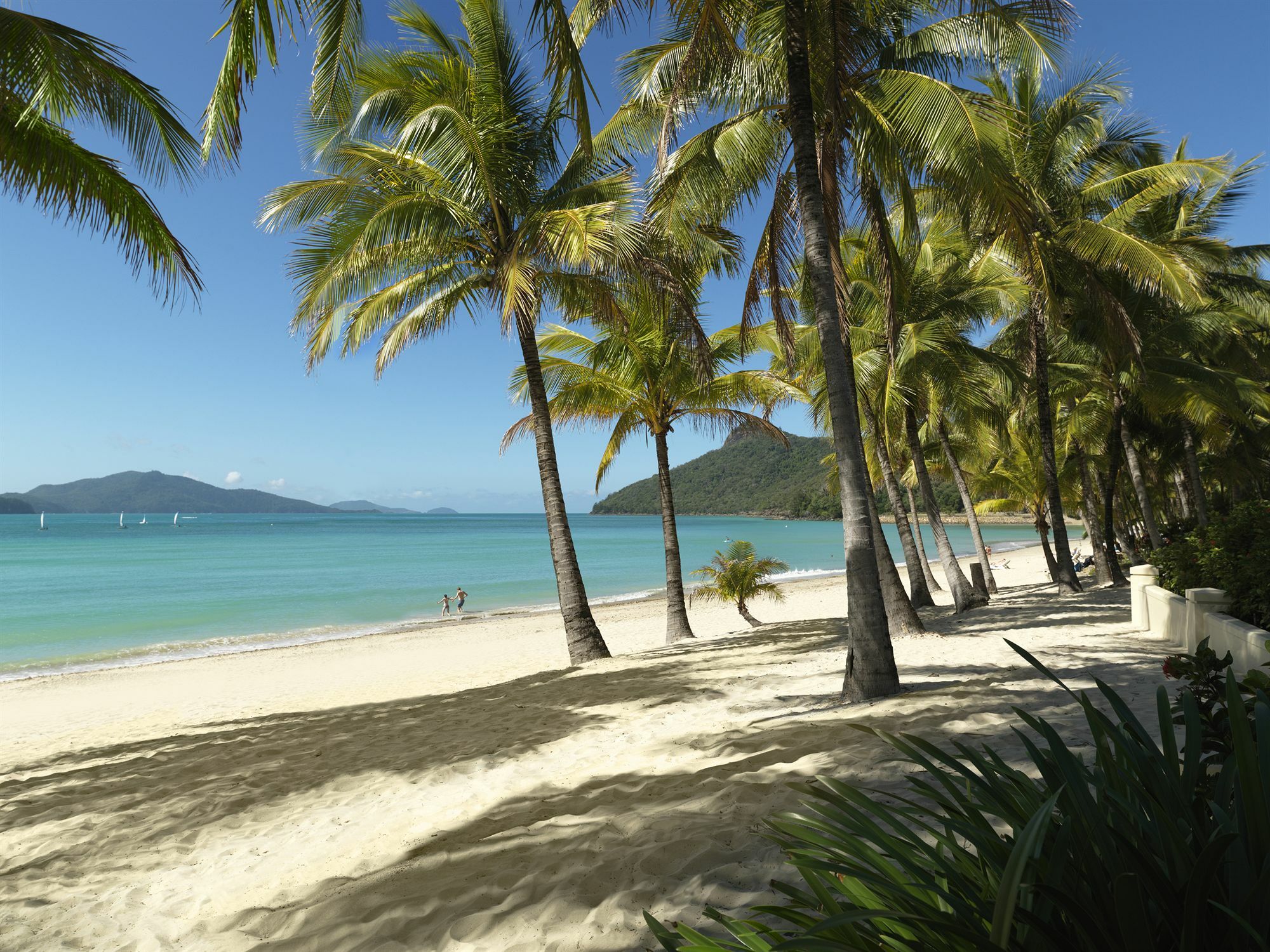 Palm Bungalows Isla Hamilton Exterior foto