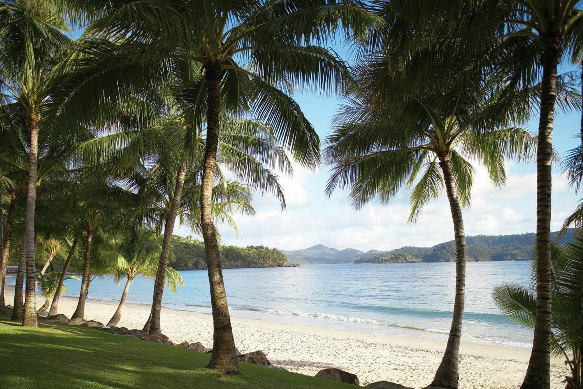 Palm Bungalows Isla Hamilton Exterior foto