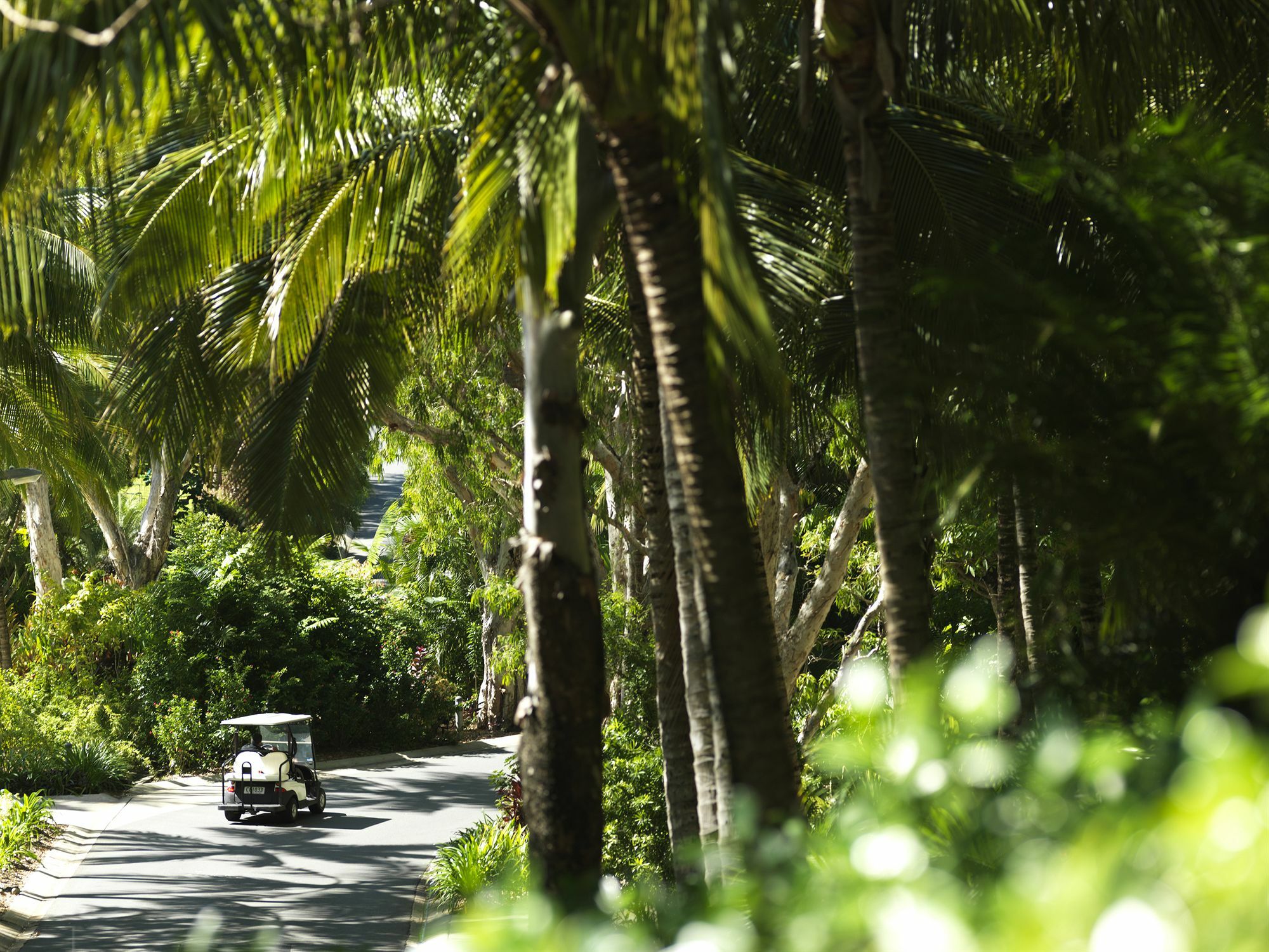Palm Bungalows Isla Hamilton Exterior foto